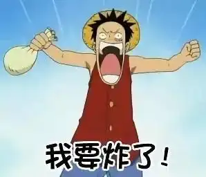 表情海贼王表情包