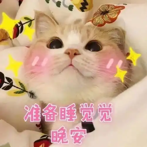 晚安表情包励志