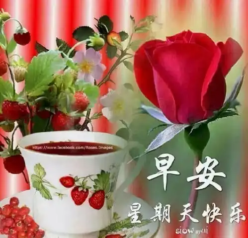 健康快乐图片表情包问候