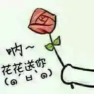 各种送花表情包