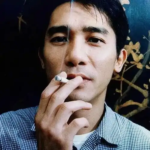 暗黑佟大为表情包赵寅成