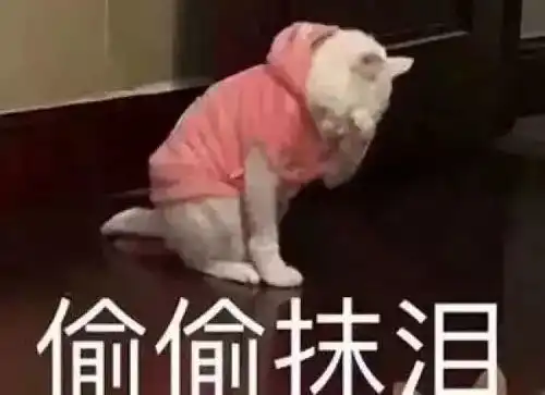 扩散已有潮汕人中招约车不成反被骗钱,骗人手段曝光