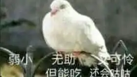 刺客伍六七的之前朋友翻唱糊的