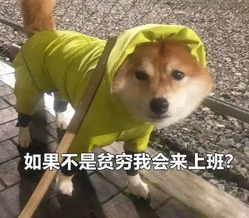 说出来你可能不信,00后都比你有钱输了输了