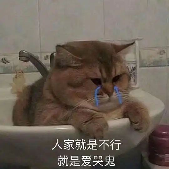 洗手的表情包爱哭鬼