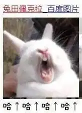 佩克拉表情包兔田佩克拉第二期