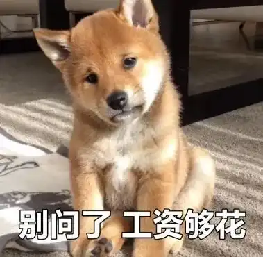 新年狗狗表情包,我已经存好了