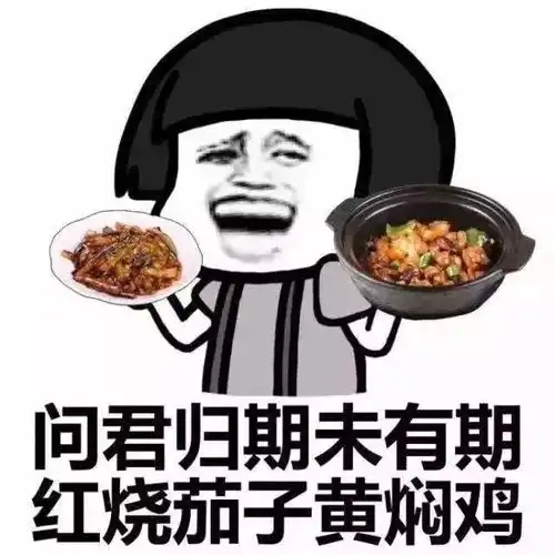 铁锅炖自己表情包集自己