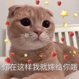 男生表白,被女生活生生怼跑哈哈哈哈哈哈哈哈哈