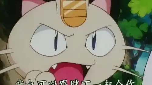 神奇宝贝喵喵想要和胖丁组成新的队伍,胖丁非常的开心