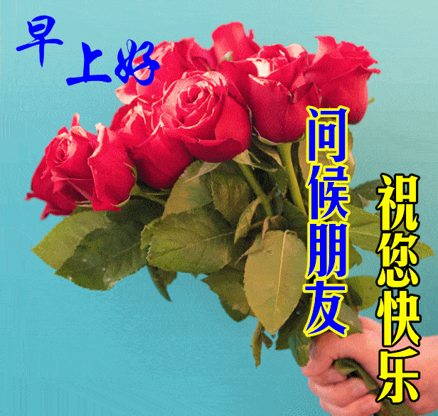 早上好动态表情图片大全,早晨好动图美图大全