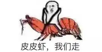 上海电视台纪实频道采访我们实训基地的乐游际啦