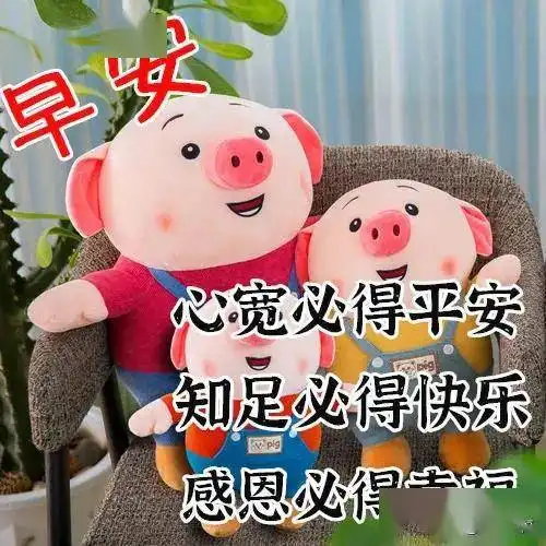 心语无声,却很甘甜问候平常,却很温暖,早安