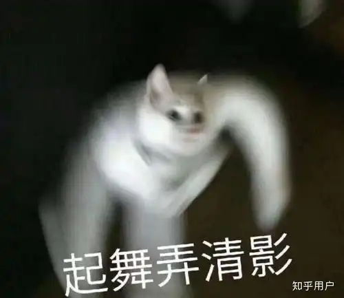 随便看看