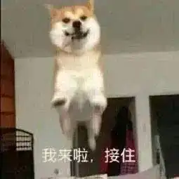 北京本地宝的个人展示页