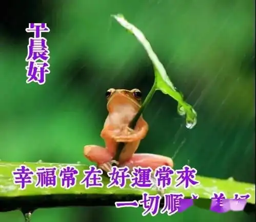 周三了,希望你有三头六臂,轻松完成工作,早安