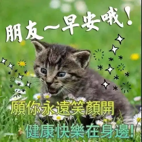 11月26日非常绝美的美女早安问候表情图片早上好发朋友圈动态祝福图片大全