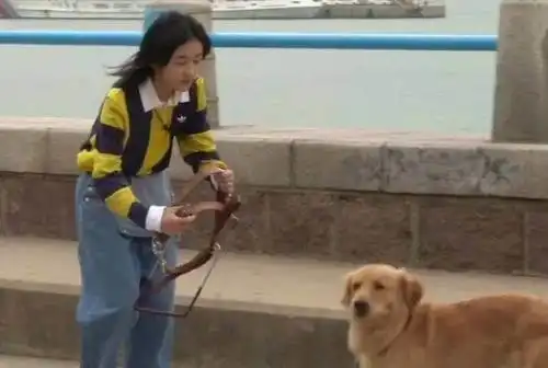 有一种演技叫张子枫,看到她摔倒后的第一反应,李兰迪学着点