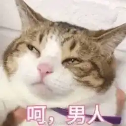 刘恺威曹曦文倾城片场秀恩爱,大幂幂喊你回家跪键盘