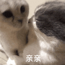 56张沙雕表情包,好拽好喜欢