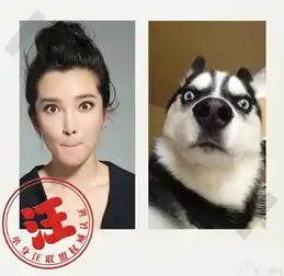 李冰冰晒照自嘲单身汪表情搞怪逗趣惹人爱