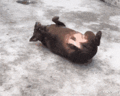 千万不要让爸妈帮你代取快递否则连夜离家出走都来不及