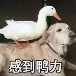 pta封神现货暴涨1600元吨期货月涨2000点