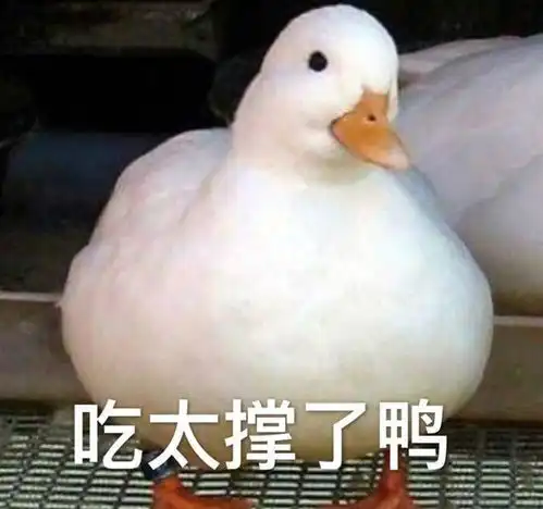 连丼都不知道,好意思说自己喜欢日本料理吗