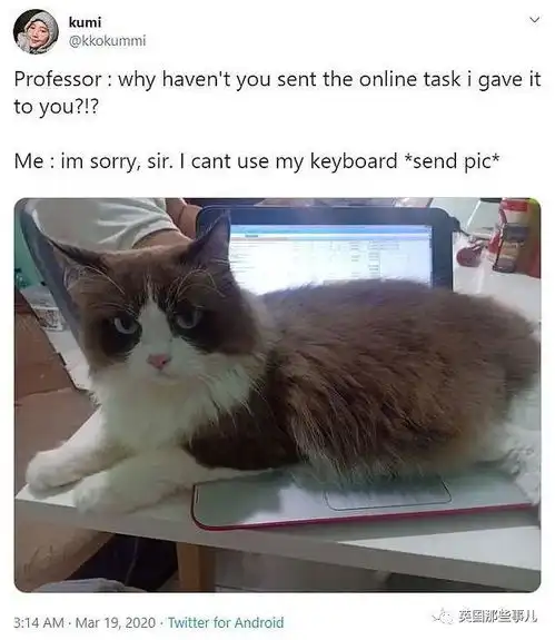 欧美开始居家隔离还没几天,家长已经全部被娃逼疯了.......