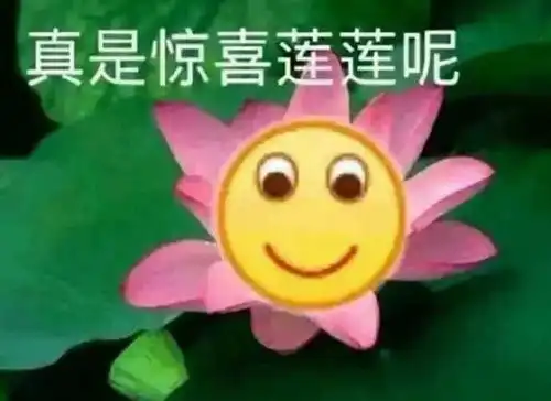 表情包做一朵莲花,心静如水,清心寡欲