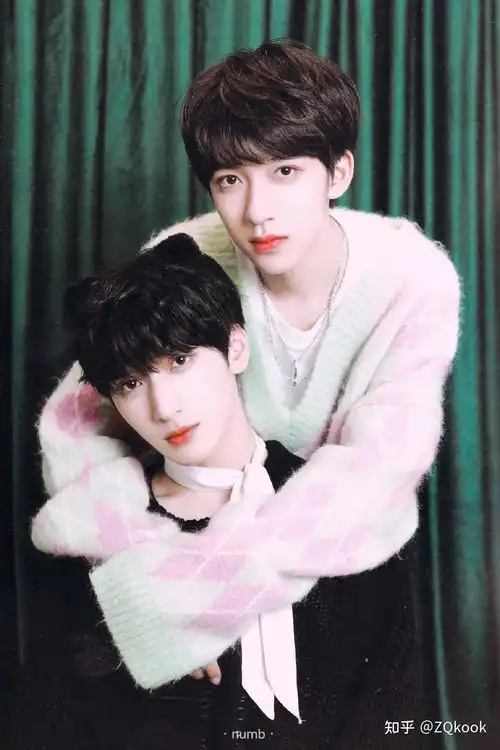 有没有严浩翔和贺峻霖的cp神图