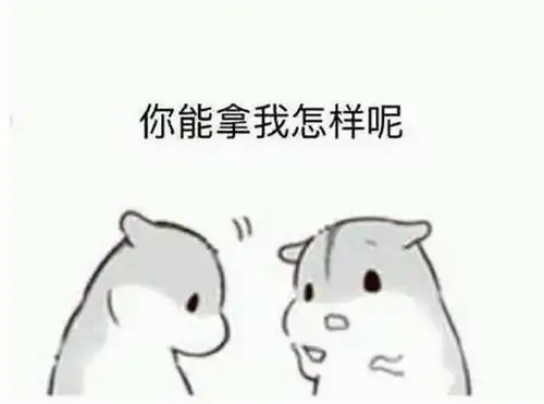 盘点曾公开怼网友的明星,陈乔恩搞错,关晓彤招黑,她让人力挺