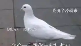 20191205新五限复刻对比五限细节,送全套外观童话话直播录屏