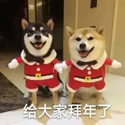 新年到拜年表情包走起