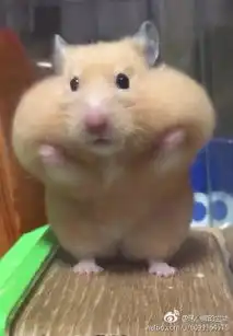 早啊表情包小仓鼠