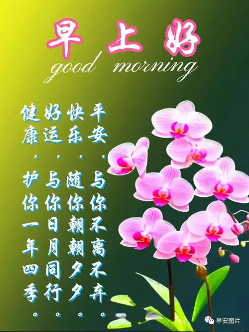 最新最美晚上好问候语温馨语录,晚安早睡好梦