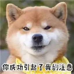 我的动科我的班满满都是爱的表情包加工厂动科193班