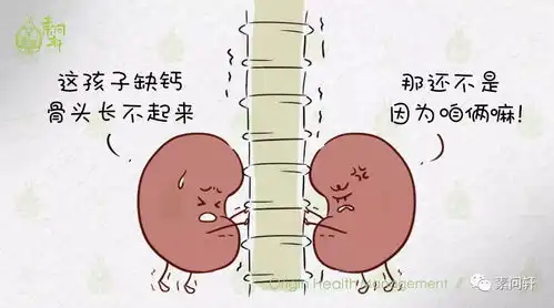 严重肾亏