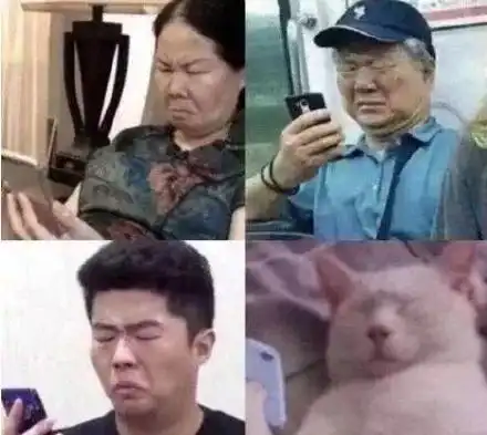 查寝表情包大赏