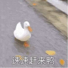 方便就业登记爱心乘车卡办理除了去政务服务中心,还可以在社区办了