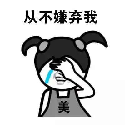 小辫子表情包我想,最爱我的是蚊子