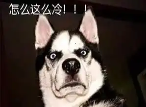 节后悲伤那么大还要下雨降温送你一份秋裤指南,暖暖你的小心心