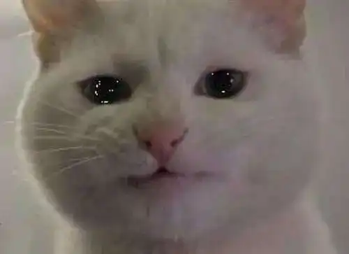 悲伤那么大,哭出来的心脏病,要当心了