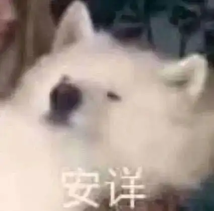 我决定开始读营业悖论我还是以为文艺复兴最灿烂...