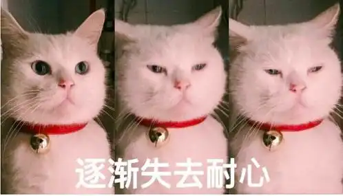 老娘相亲会费都交了,你就给我看个70后谢顶大叔