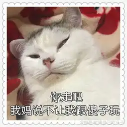 最近超火傲娇表情包要找对象冲我来,嫁给别人算什么本事