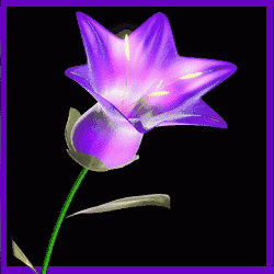 晚上好图片大全祝福晚上好的动态图片一声晚安,一份挂念