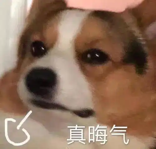 100张又甜又污让男友看完受不了的表情包,太撩