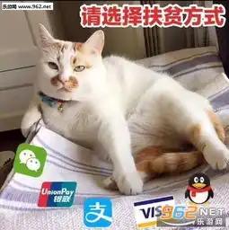 公主无语表情包图片老子就想给你这个表情包下载乐游网游戏下载