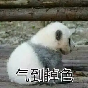 到底是谁怂恿杨紫去做线雕隆鼻的鼻子变成搓衣板了是有仇吗